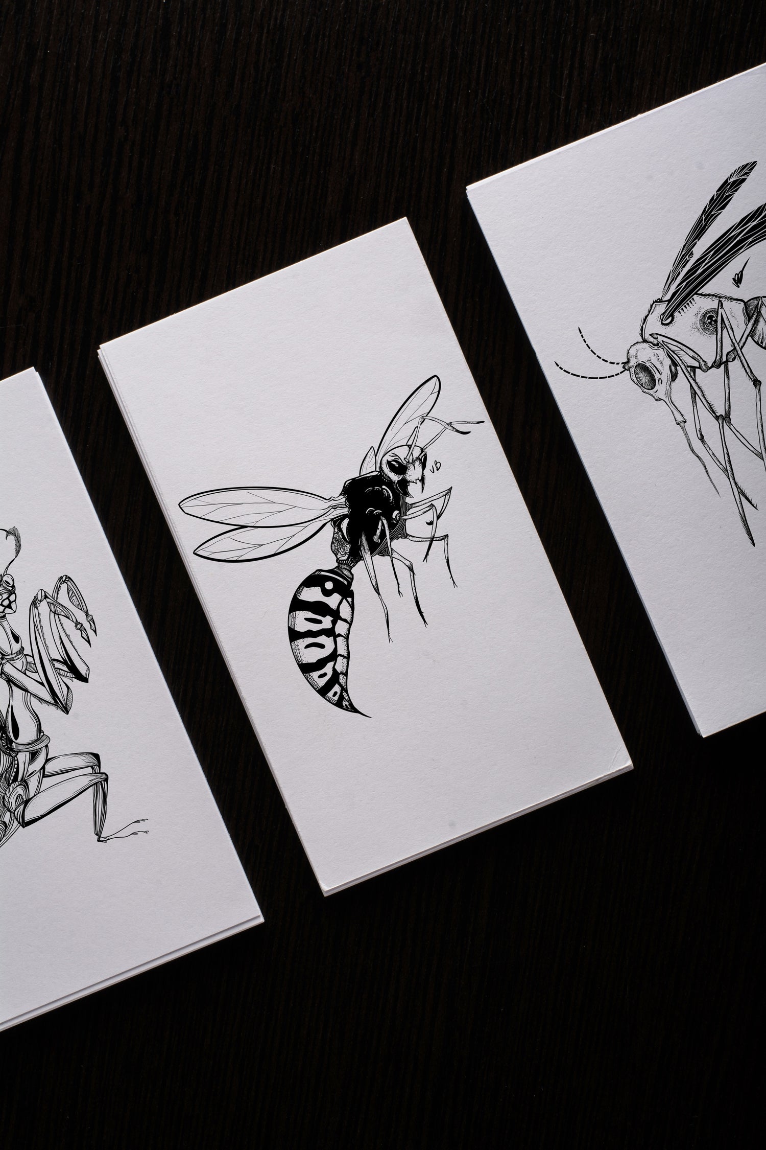 CATCH'EM ALL - DIGITAL ART