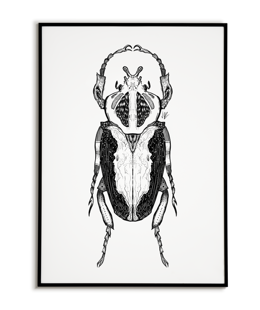 Beetle